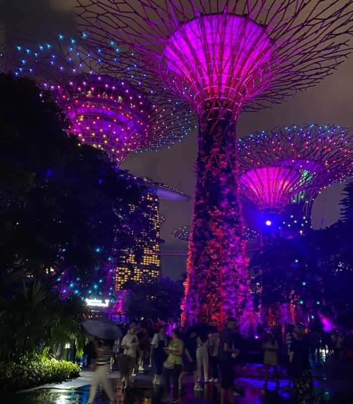 Gardens by the Bay Singapore Gardens by the Bay Singapore